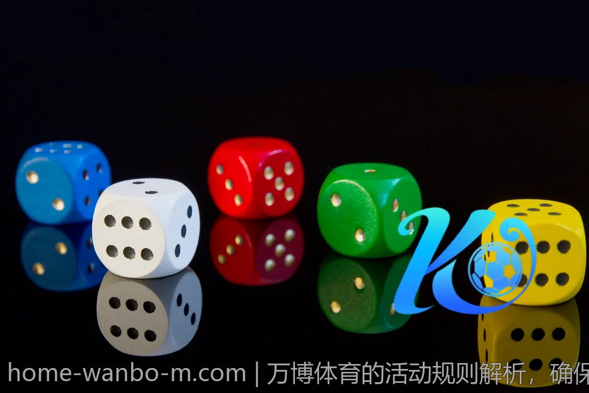 万博体育的活动规则解析,确保你的参与万无一失