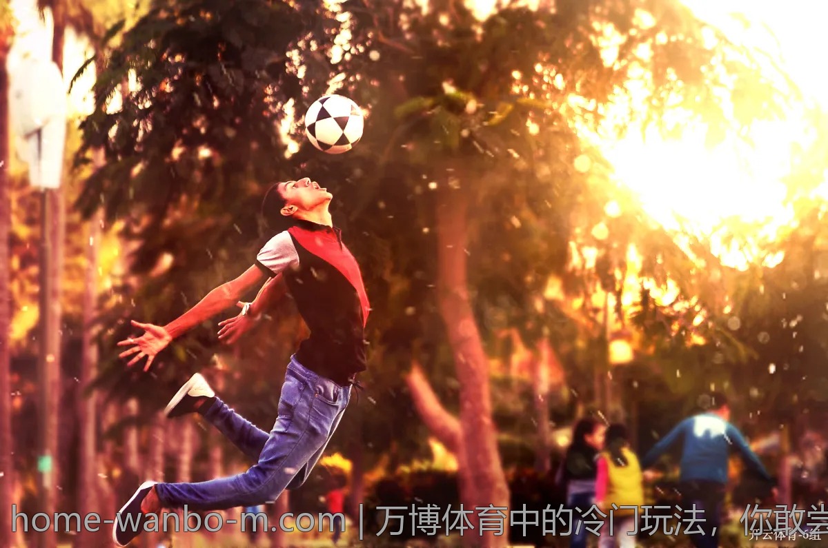 万博体育中的冷门玩法，你敢尝试吗？