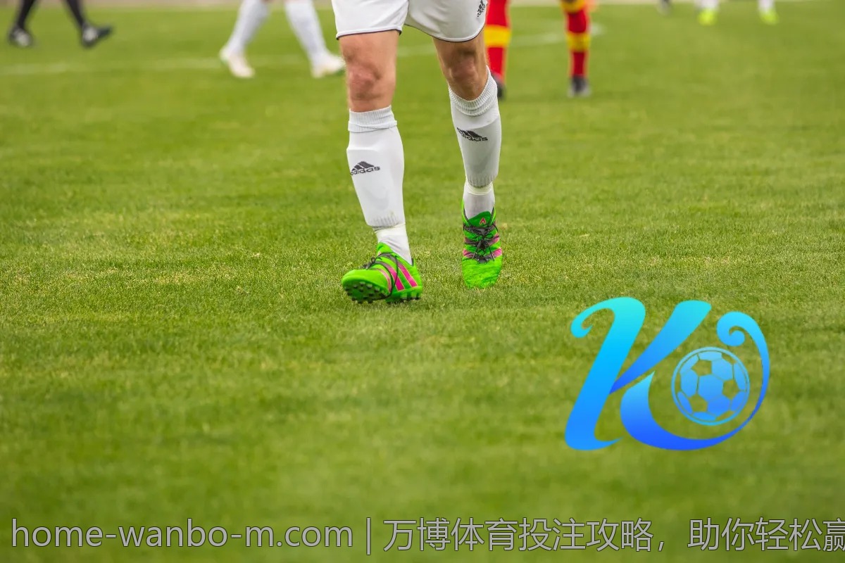 万博体育投注攻略，助你轻松赢取大奖