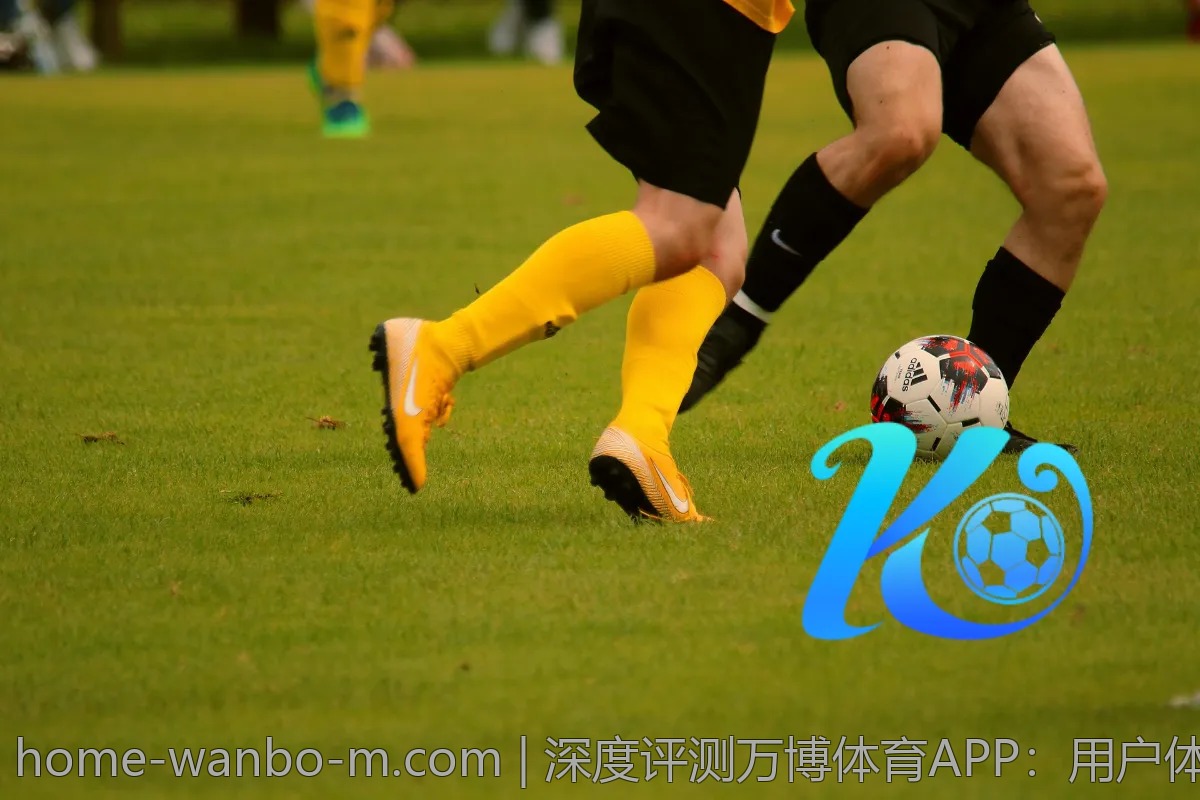 深度评测万博体育APP：用户体验的优缺点