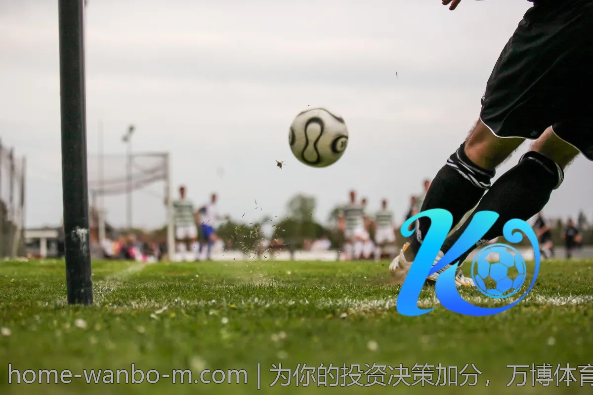 为你的投资决策加分，万博体育的走势分析